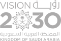 Vision Logo